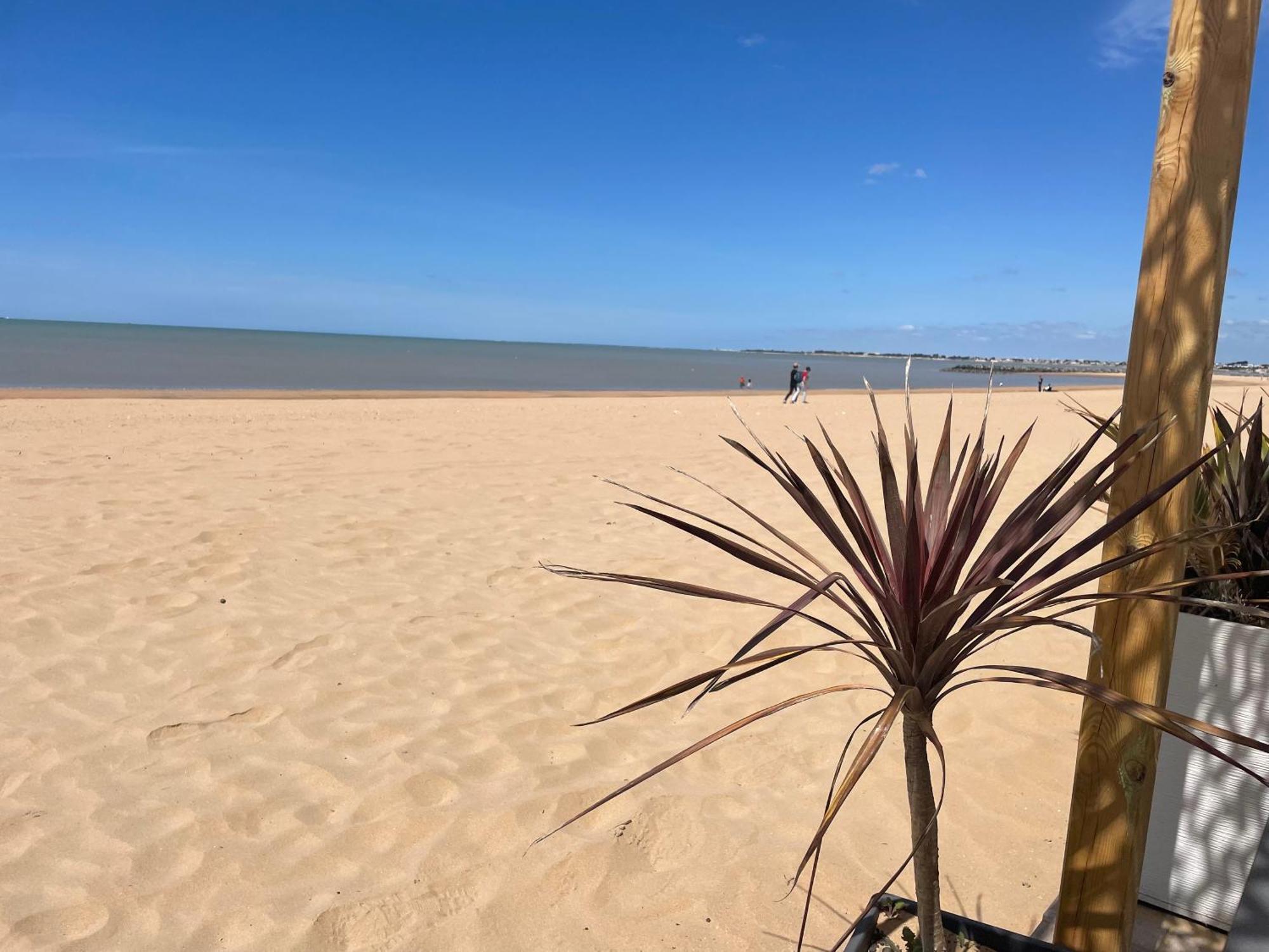 Acadie Saint Victor - Hotel Restaurant - Face Mer - Chatelaillon Plage Екстериор снимка